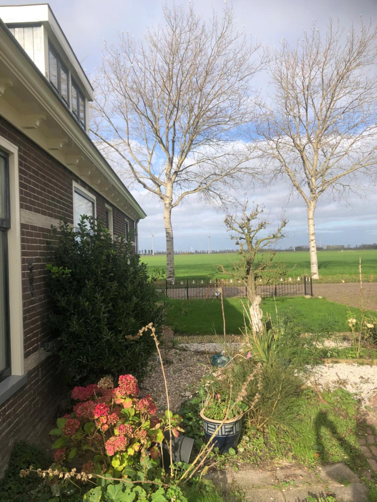 Appartement In Schuur Twisk Exterior photo